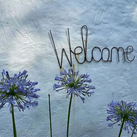 Caladdi Bed And Breakfast Durban Buitenkant foto
