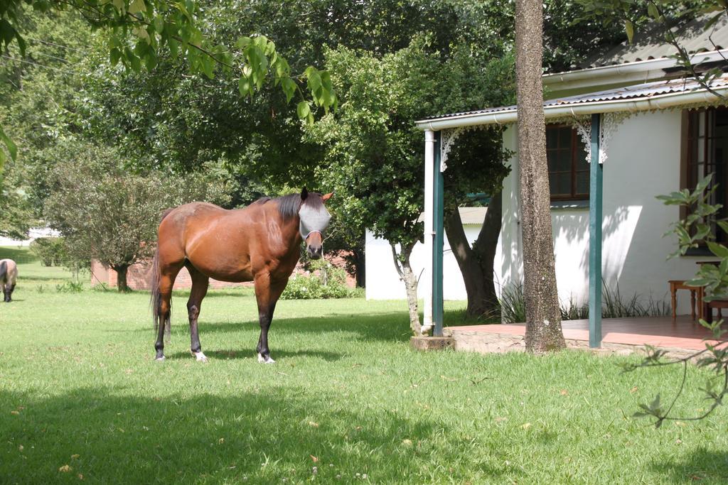 Caladdi Bed And Breakfast Durban Buitenkant foto