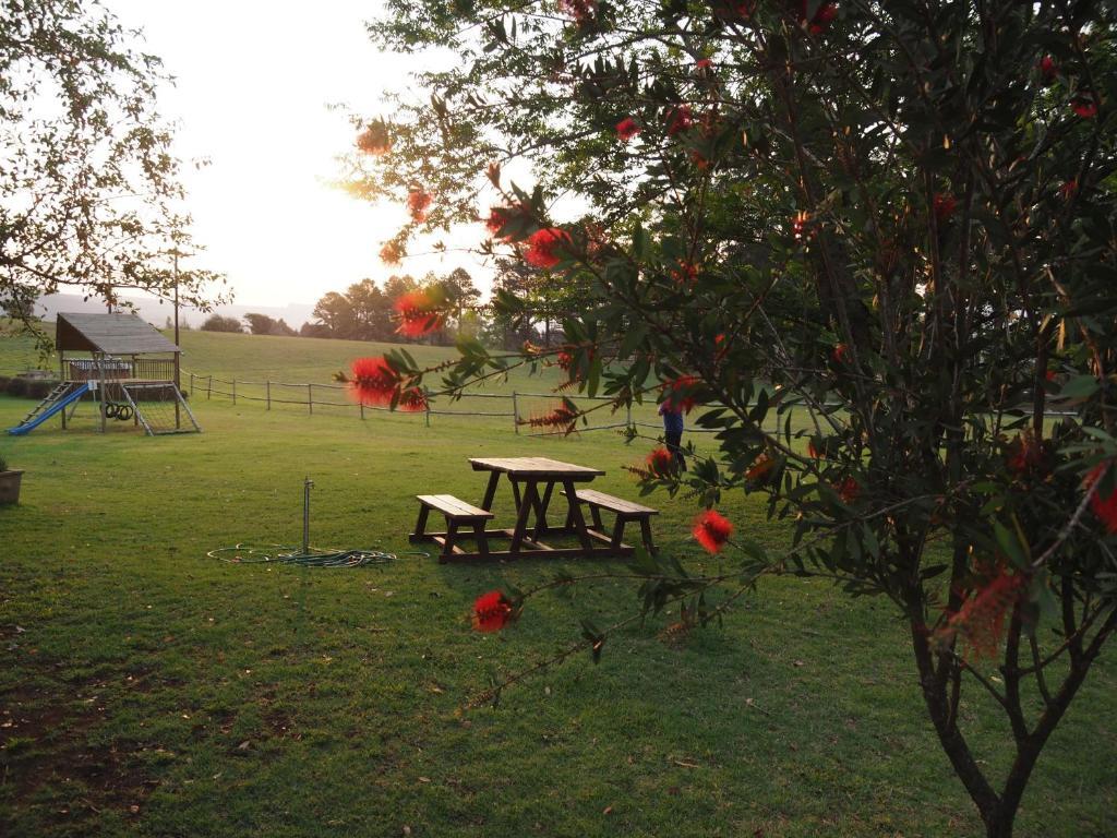 Caladdi Bed And Breakfast Durban Buitenkant foto
